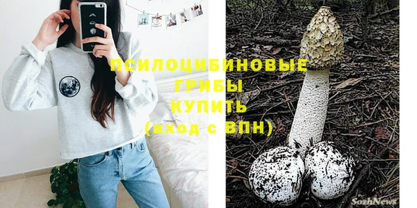 спиды Алексеевка