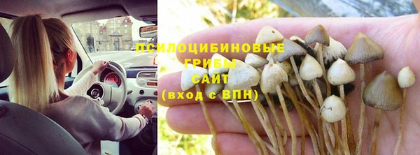 COCAINE Алзамай