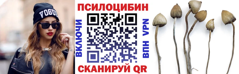 Псилоцибиновые грибы Cubensis  Буй 